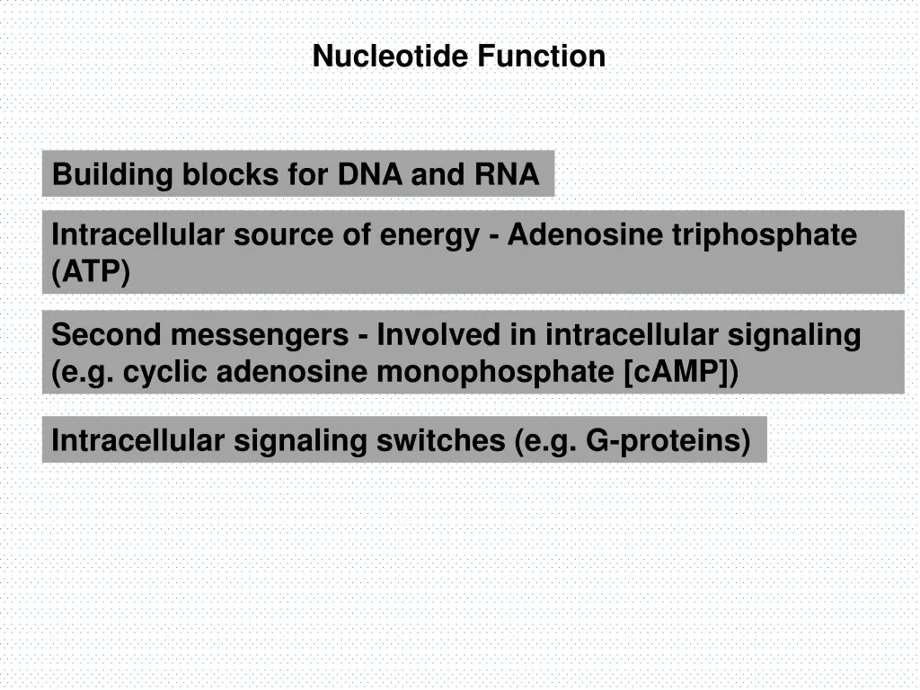 nucleotide function