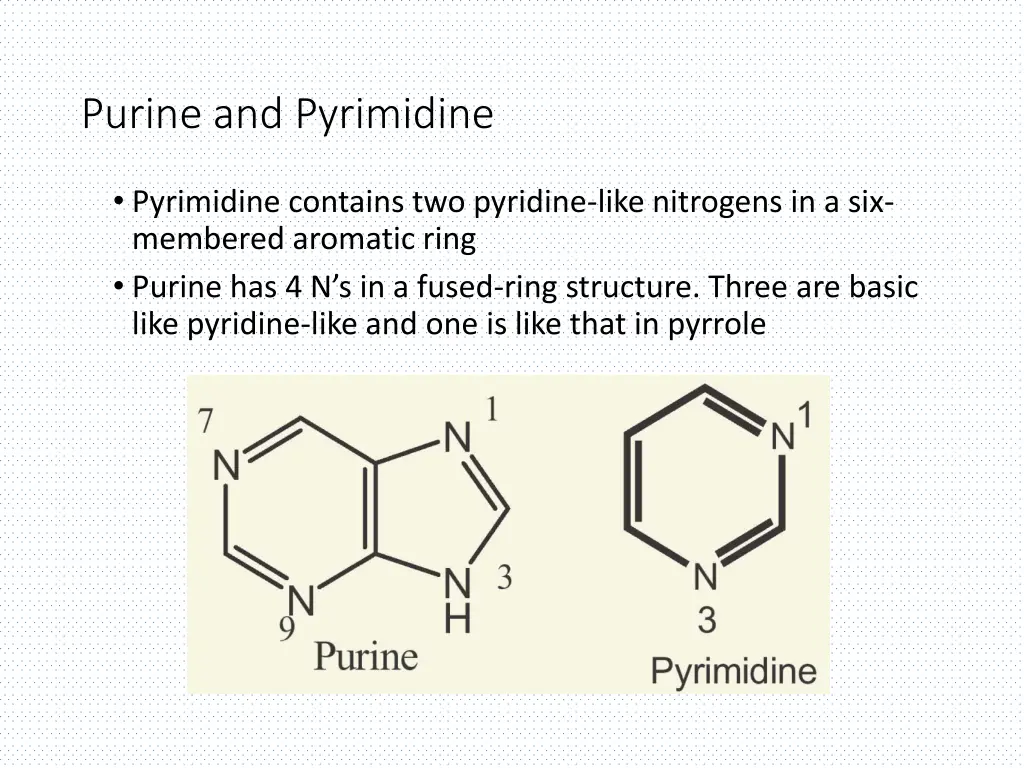 purine and pyrimidine