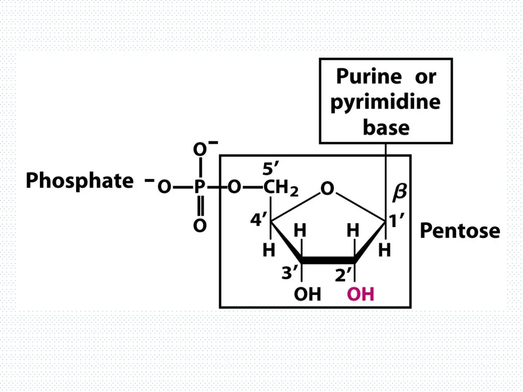 slide10