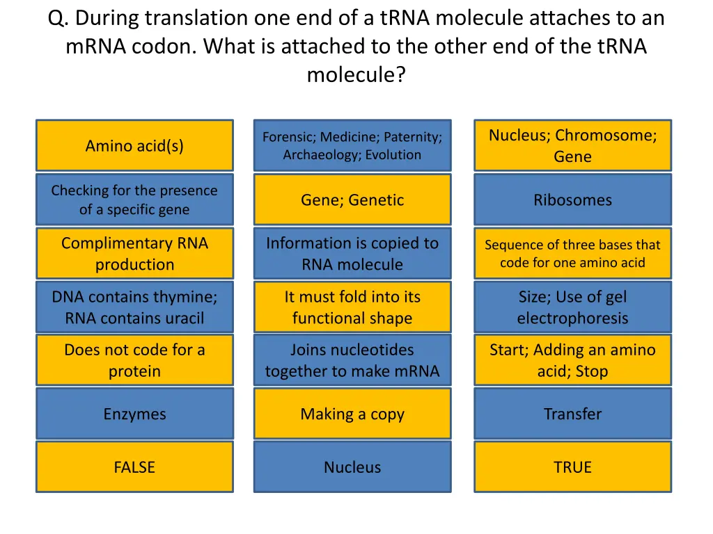 q during translation one end of a trna molecule