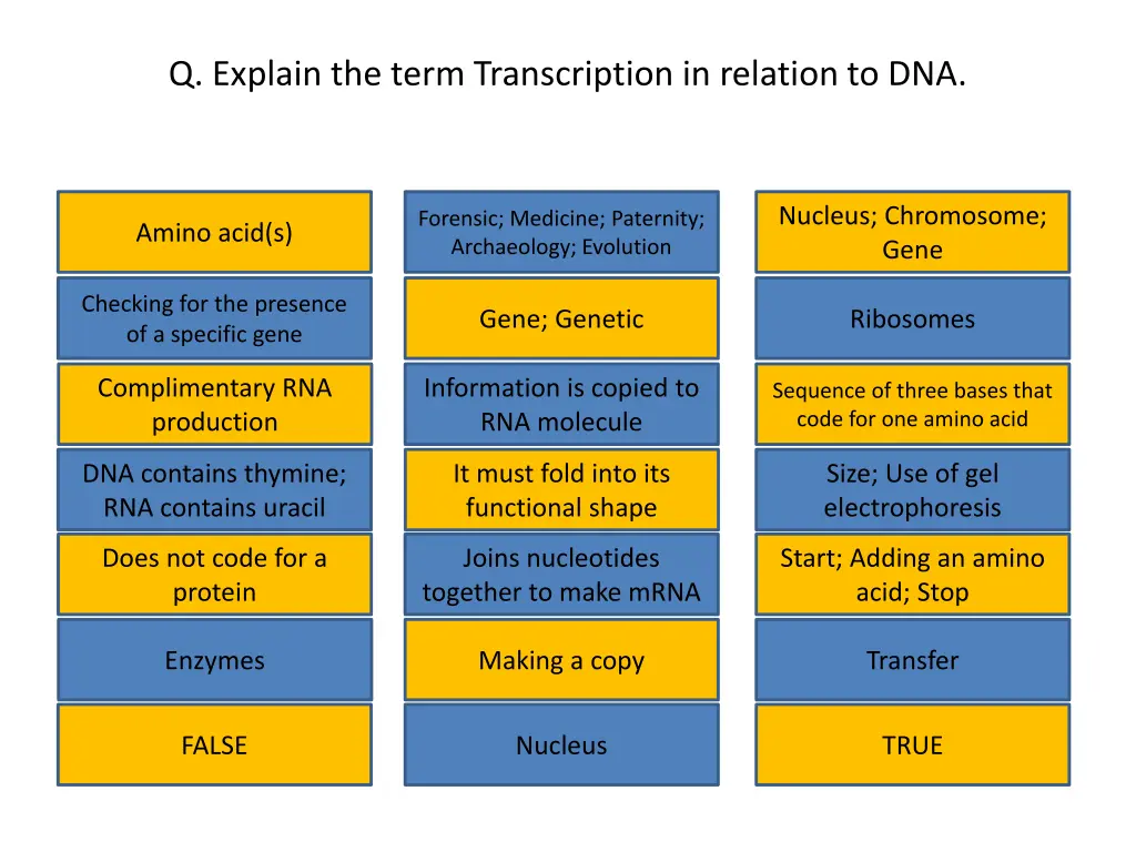 q explain the term transcription in relation