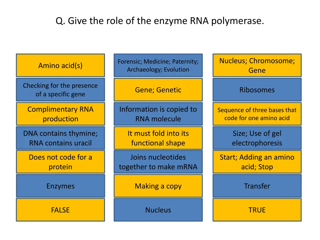 q give the role of the enzyme rna polymerase