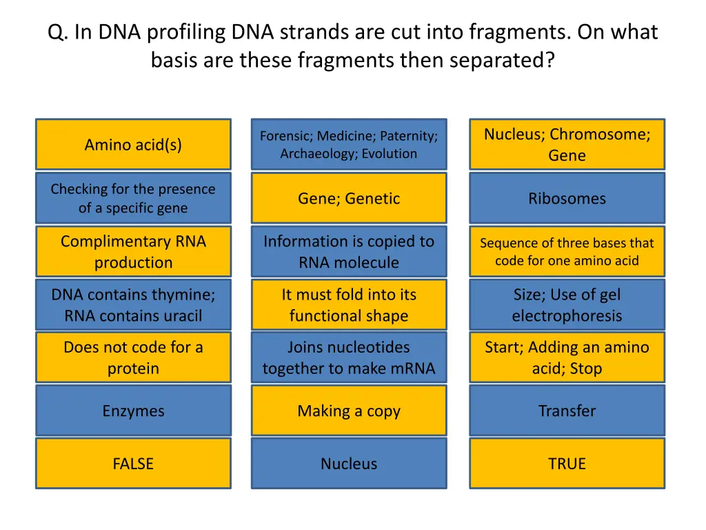 q in dna profiling dna strands are cut into