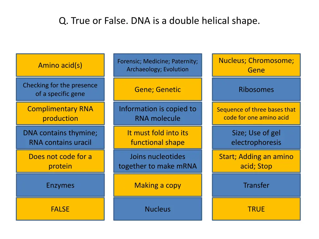 q true or false dna is a double helical shape