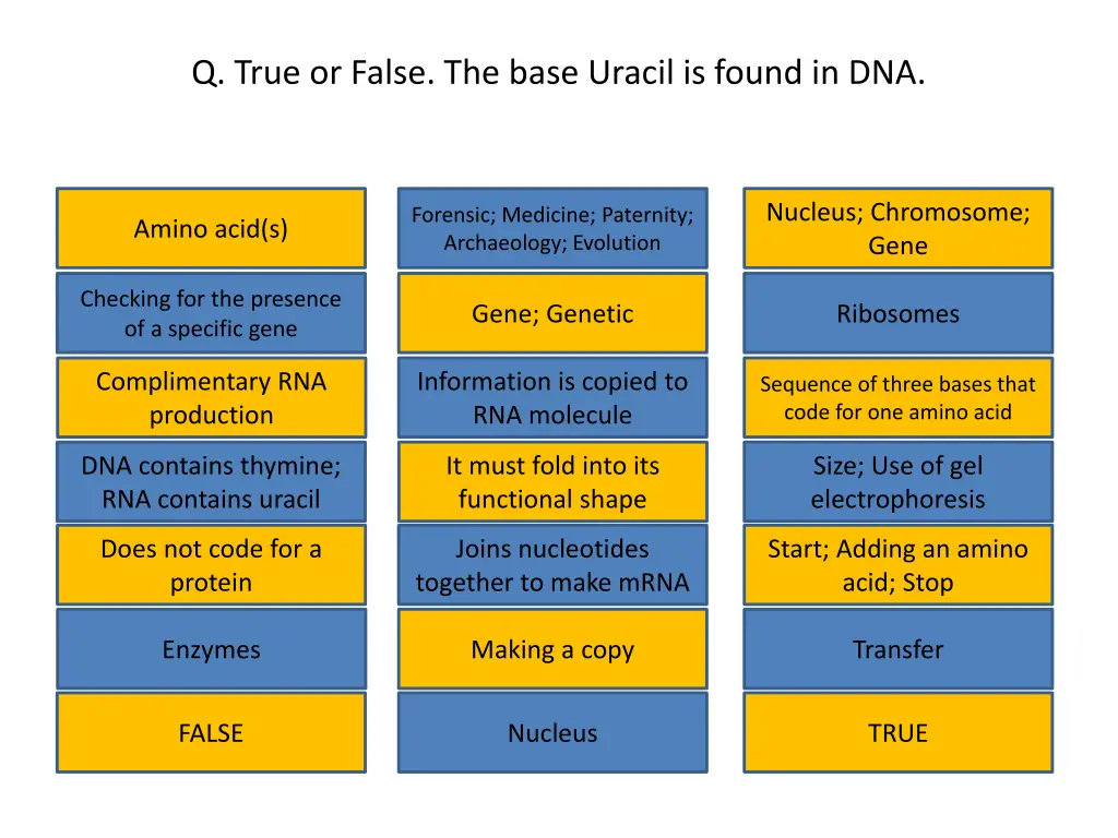 q true or false the base uracil is found in dna