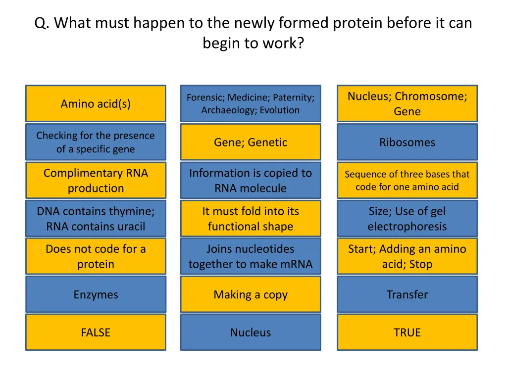 q what must happen to the newly formed protein