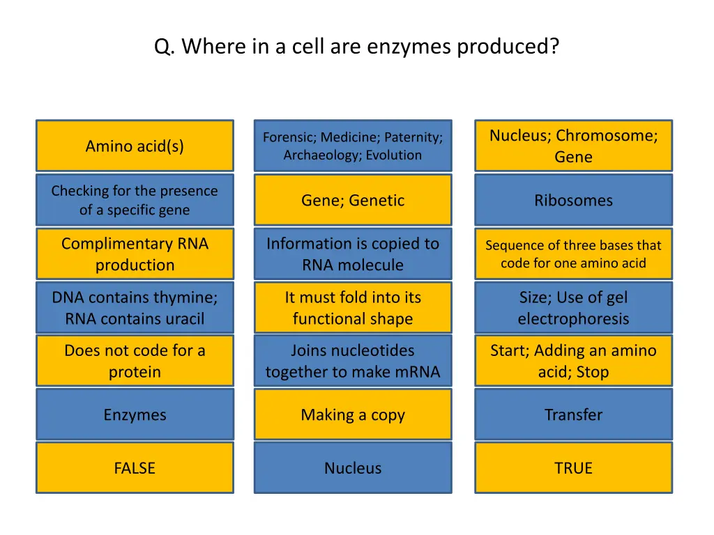 q where in a cell are enzymes produced