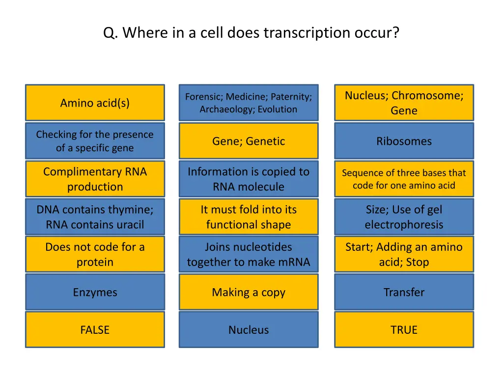 q where in a cell does transcription occur