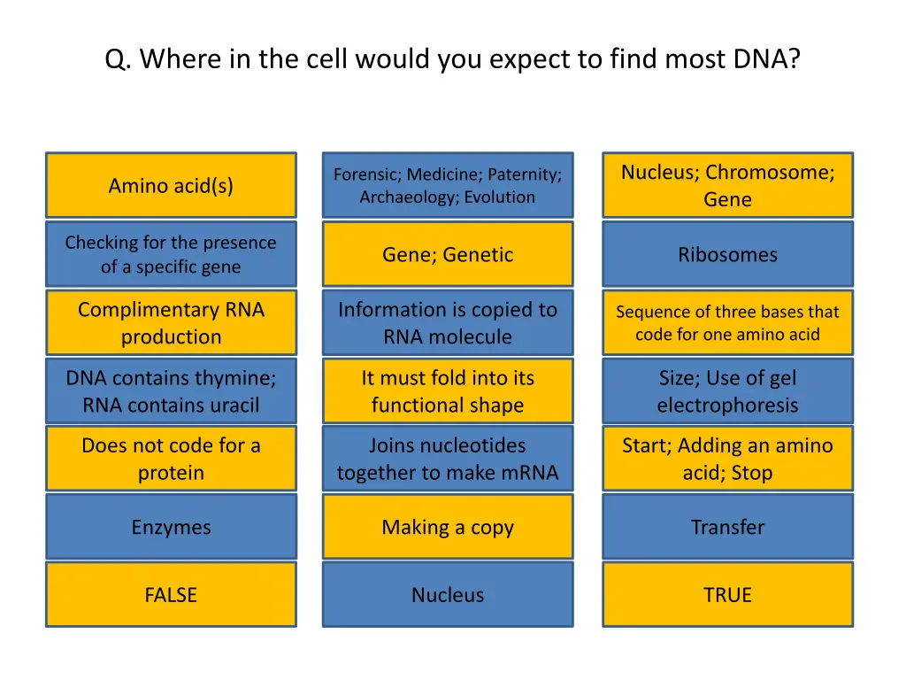 q where in the cell would you expect to find most