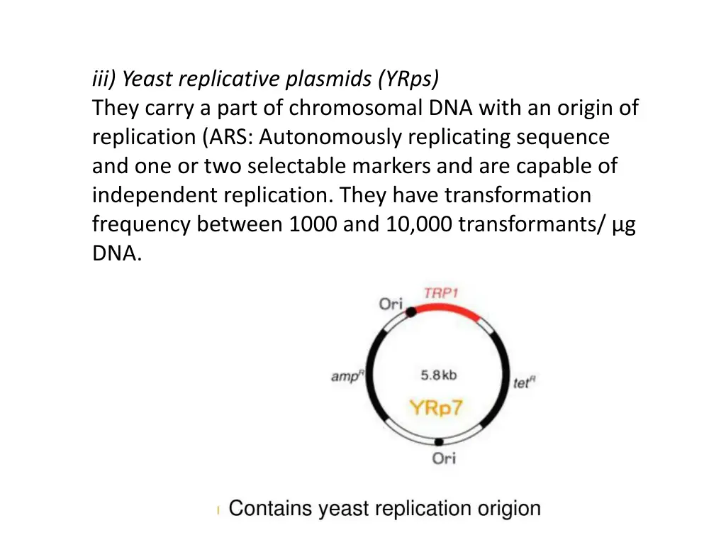 iii yeast replicative plasmids yrps they carry