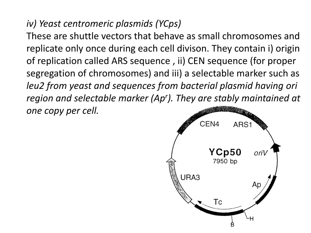 iv yeast centromeric plasmids ycps these