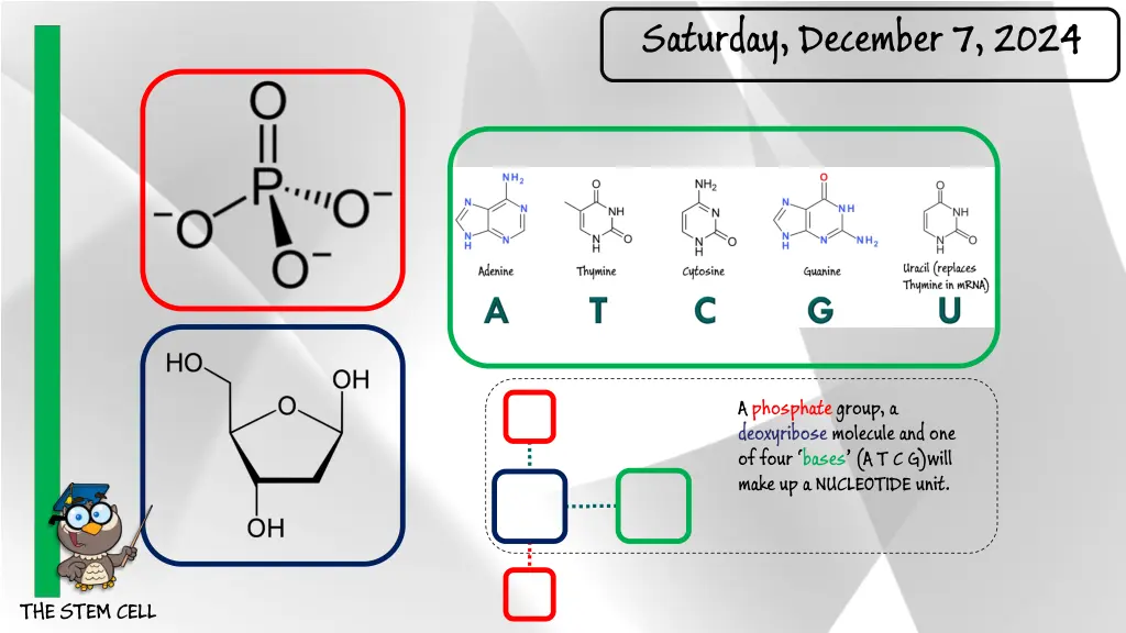 saturday december 7 2024 4