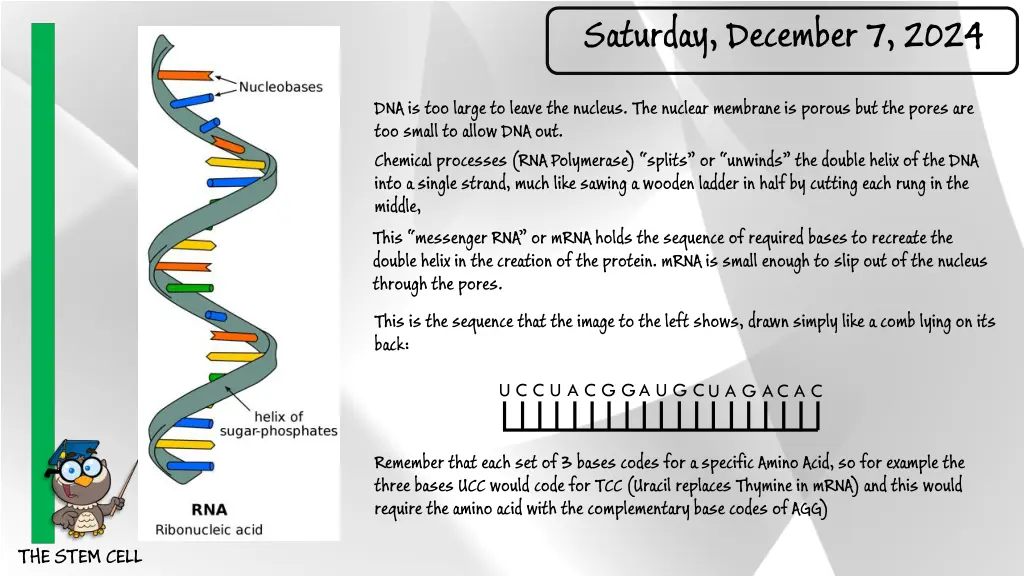 saturday december 7 2024 6