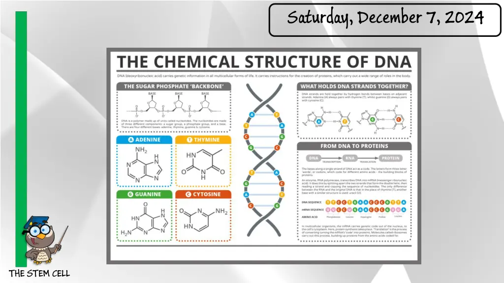 saturday december 7 2024 8