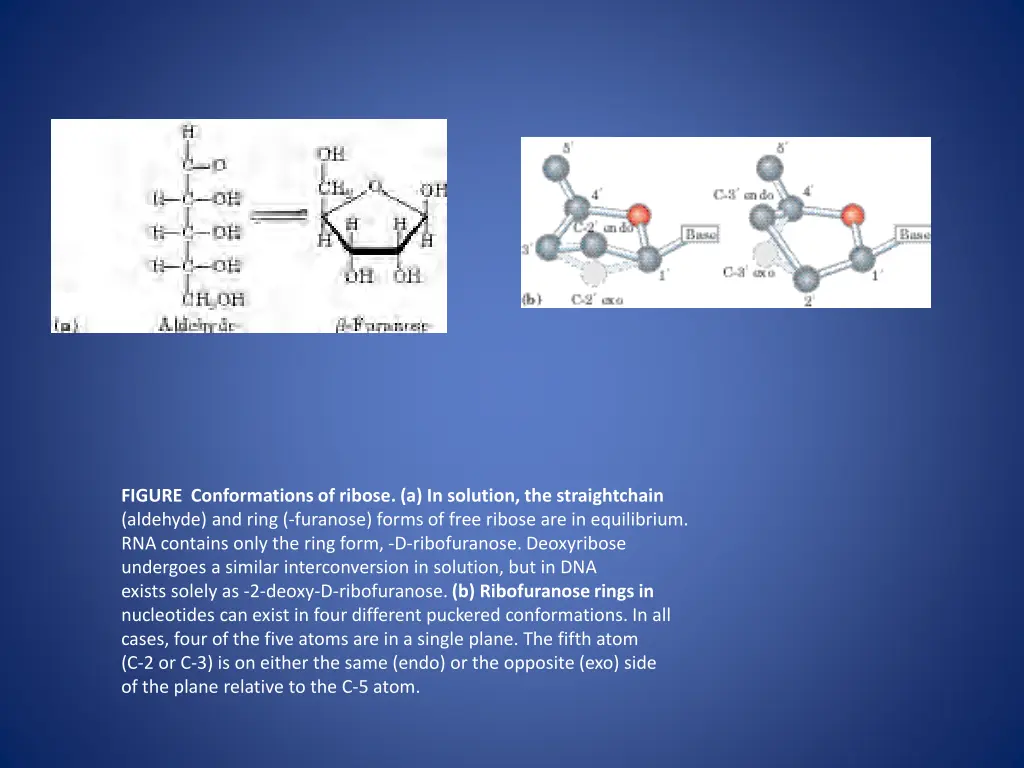 figure conformations of ribose a in solution