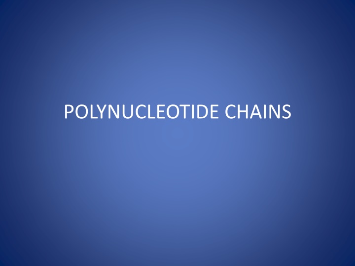 polynucleotide chains