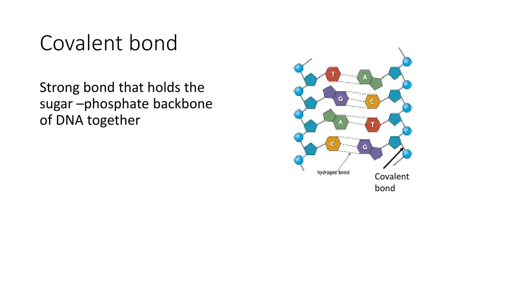 covalent bond