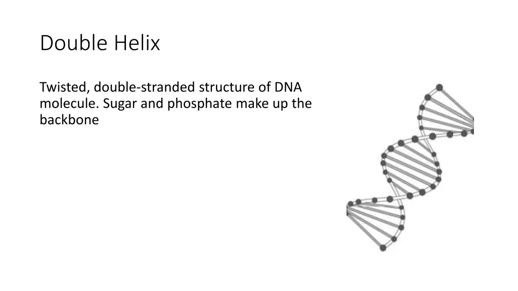 double helix