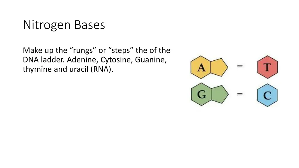 nitrogen bases