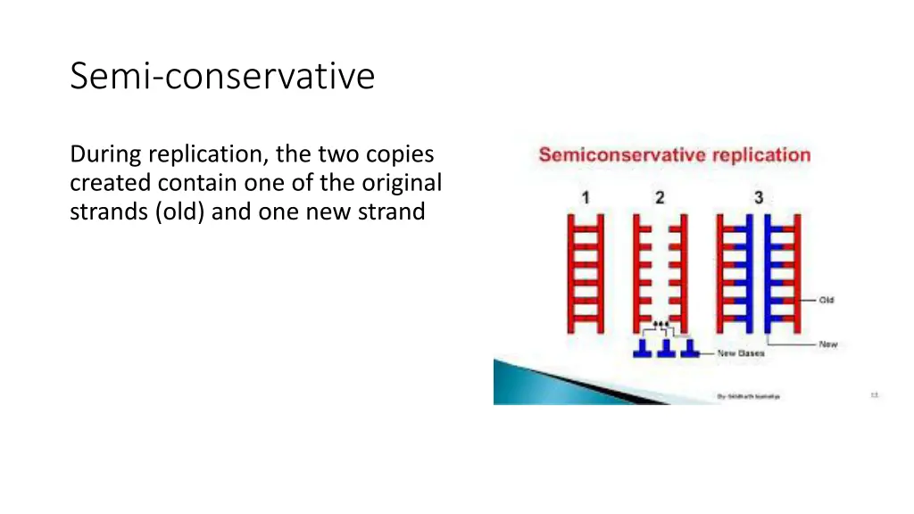 semi conservative