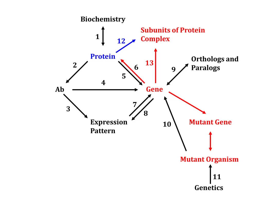 biochemistry 1