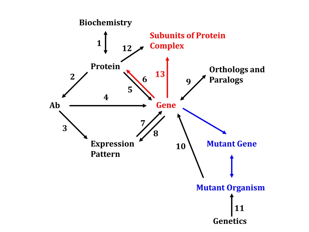 biochemistry 2