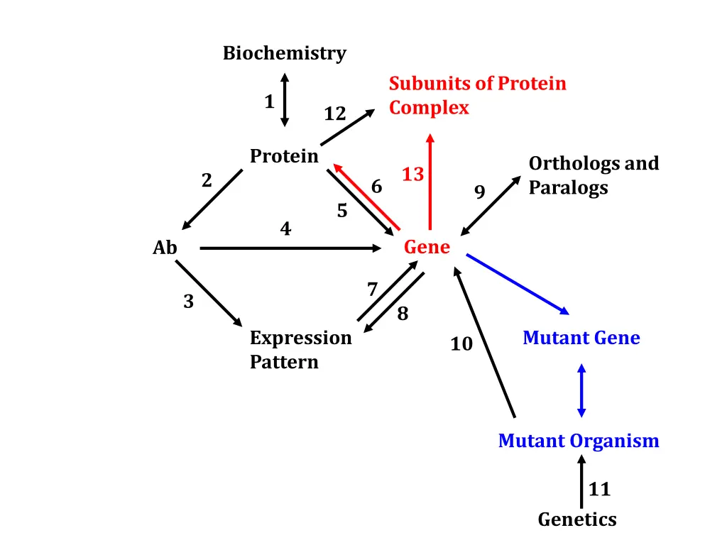 biochemistry 3