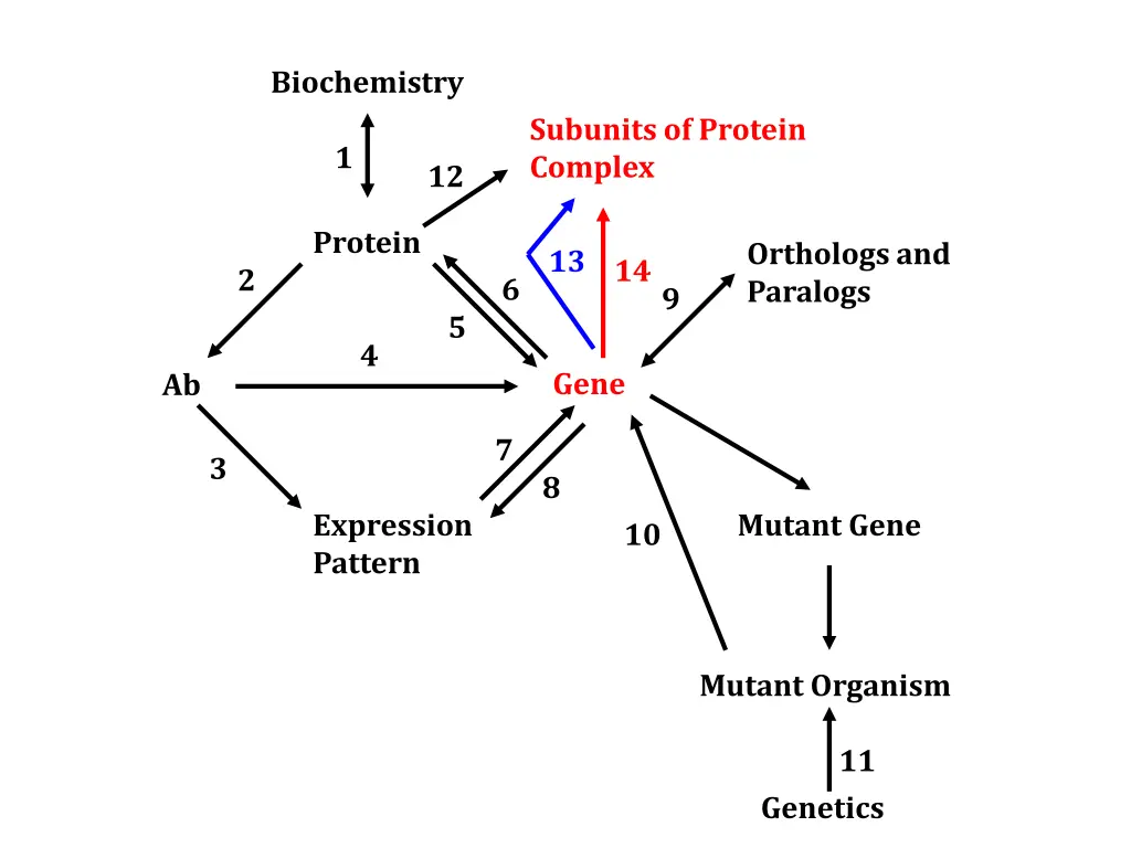 biochemistry 4