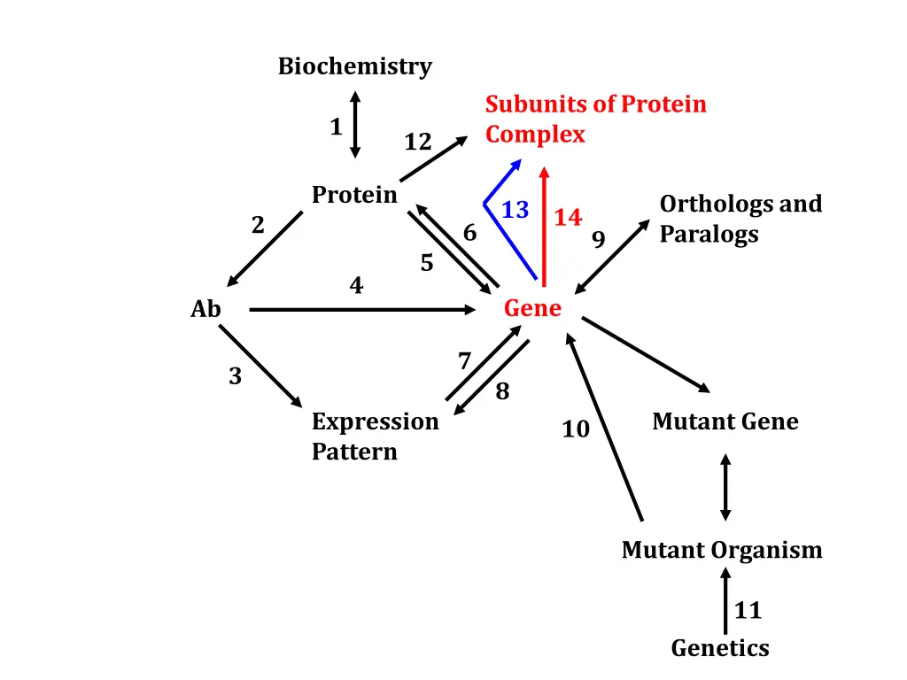 biochemistry 5