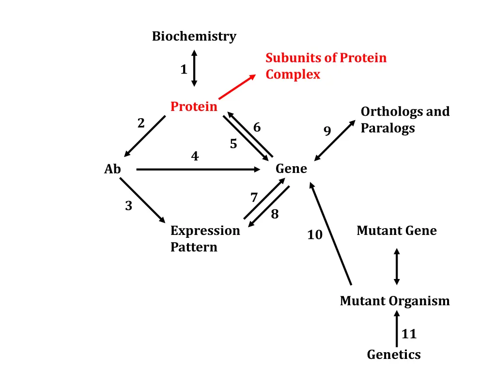 biochemistry