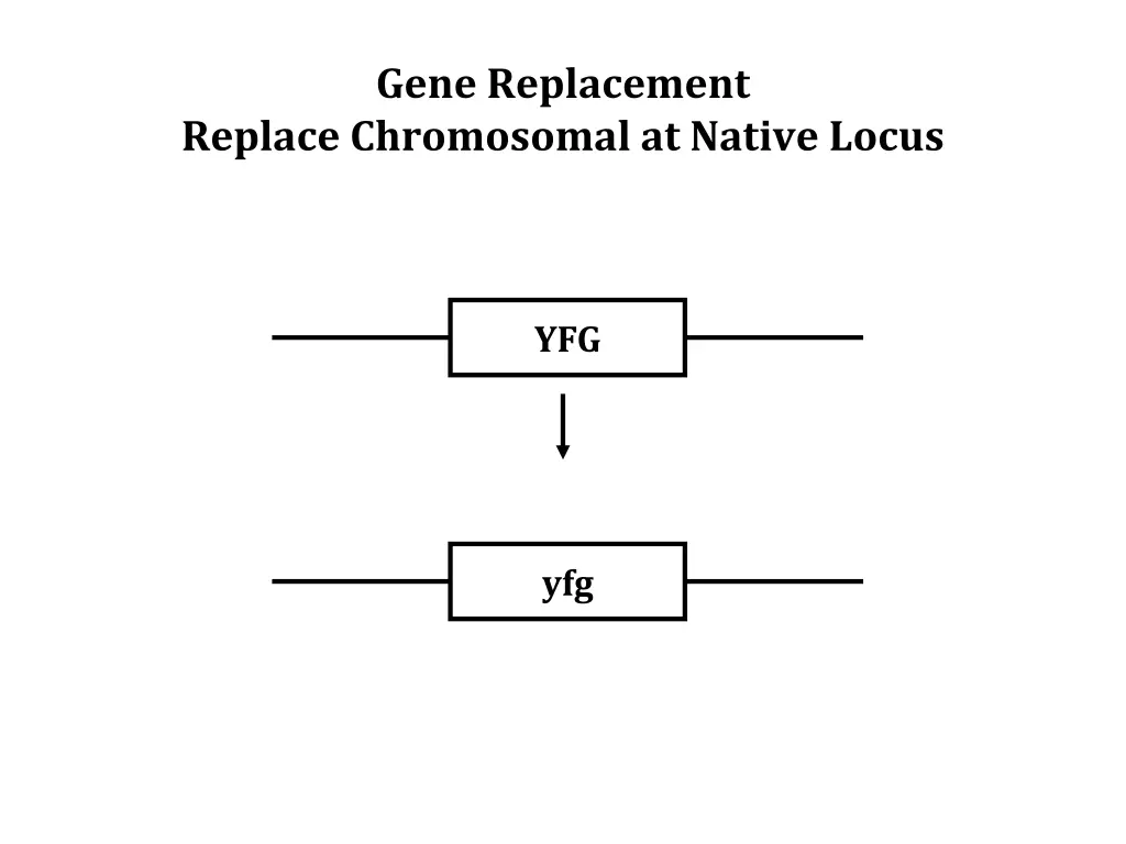 gene replacement