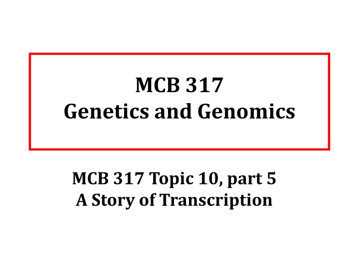 mcb 317