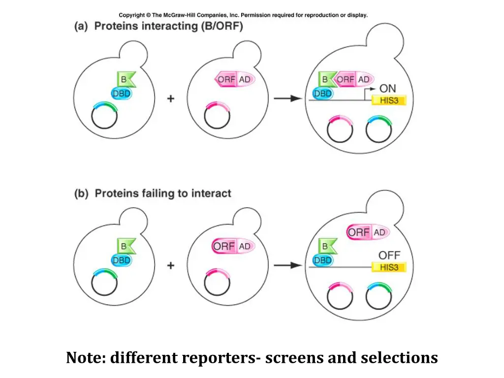 note different reporters screens and selections