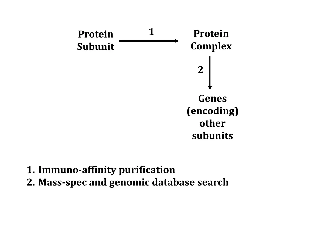 slide13