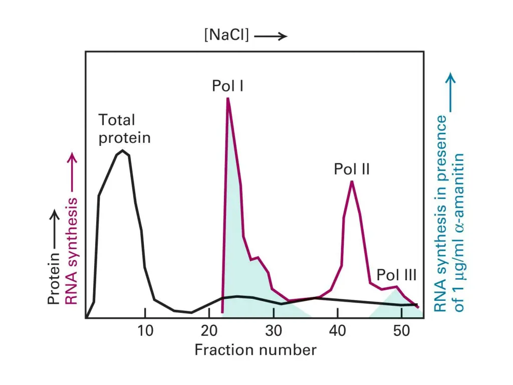 slide6