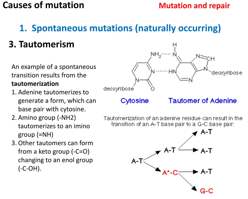 causes of mutation 4