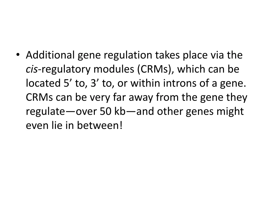 additional gene regulation takes place