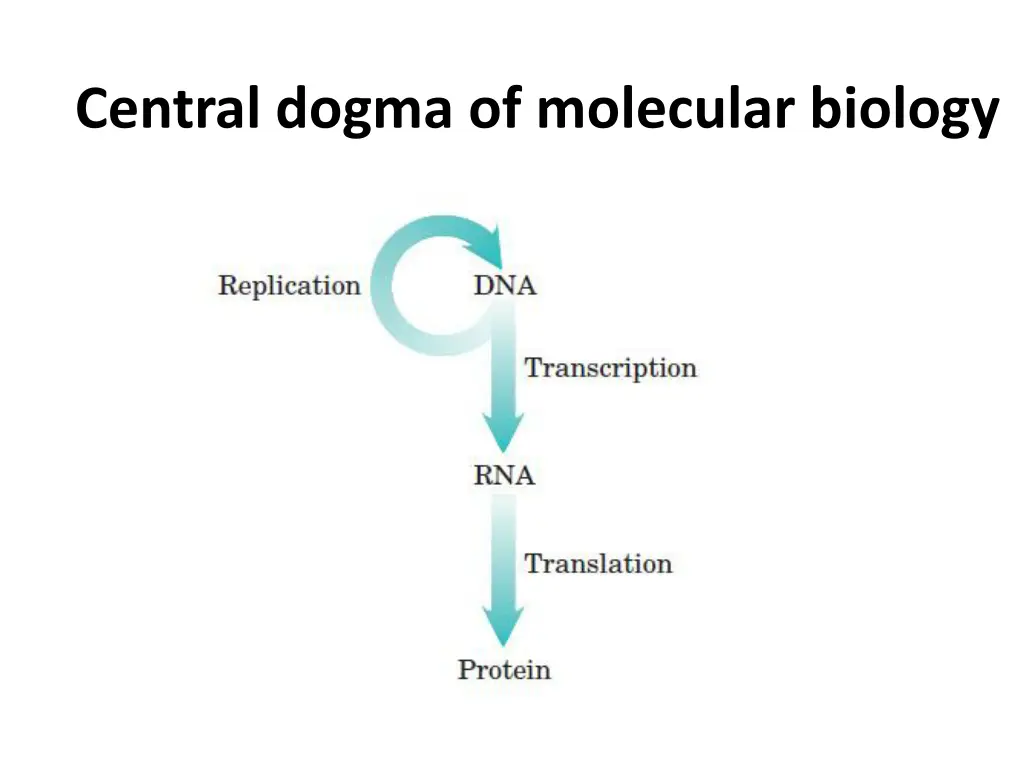 central dogma of molecular biology