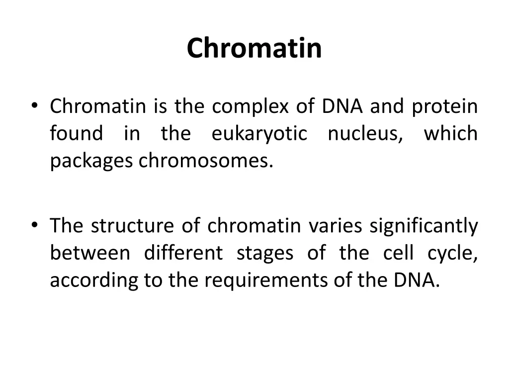 chromatin