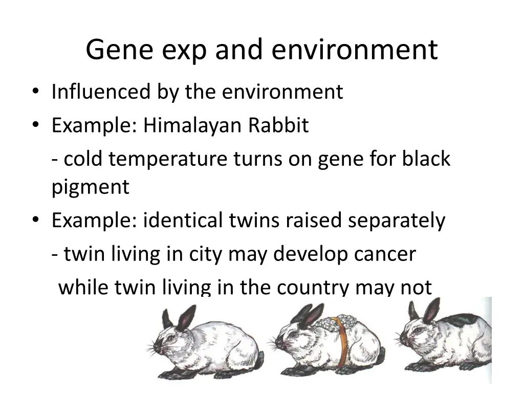 gene exp and environment influenced
