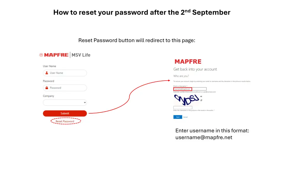 how to reset your password after