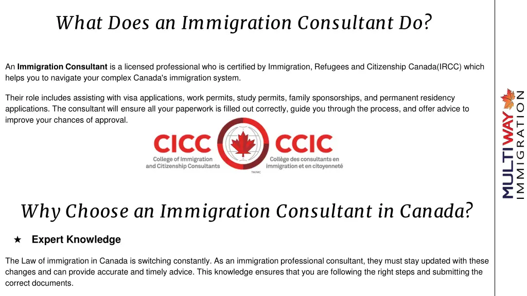 what does an immigration consultant do