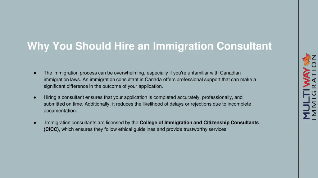 why you should hire an immigration consultant