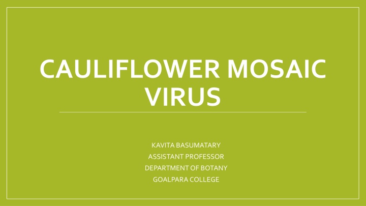 cauliflower mosaic virus