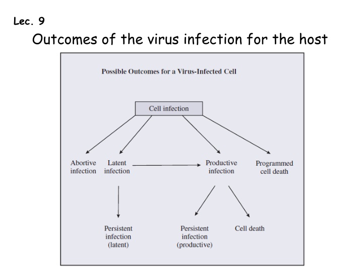 lec 9 outcomes of the virus infection for the host