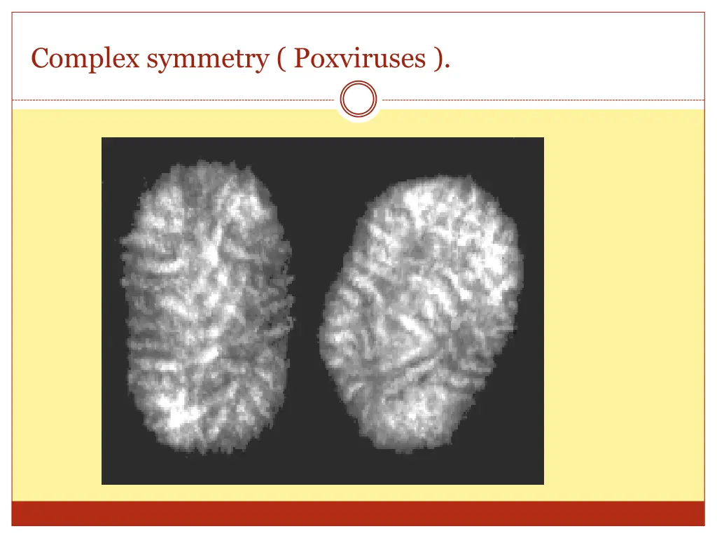 complex symmetry poxviruses