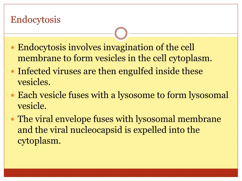 endocytosis