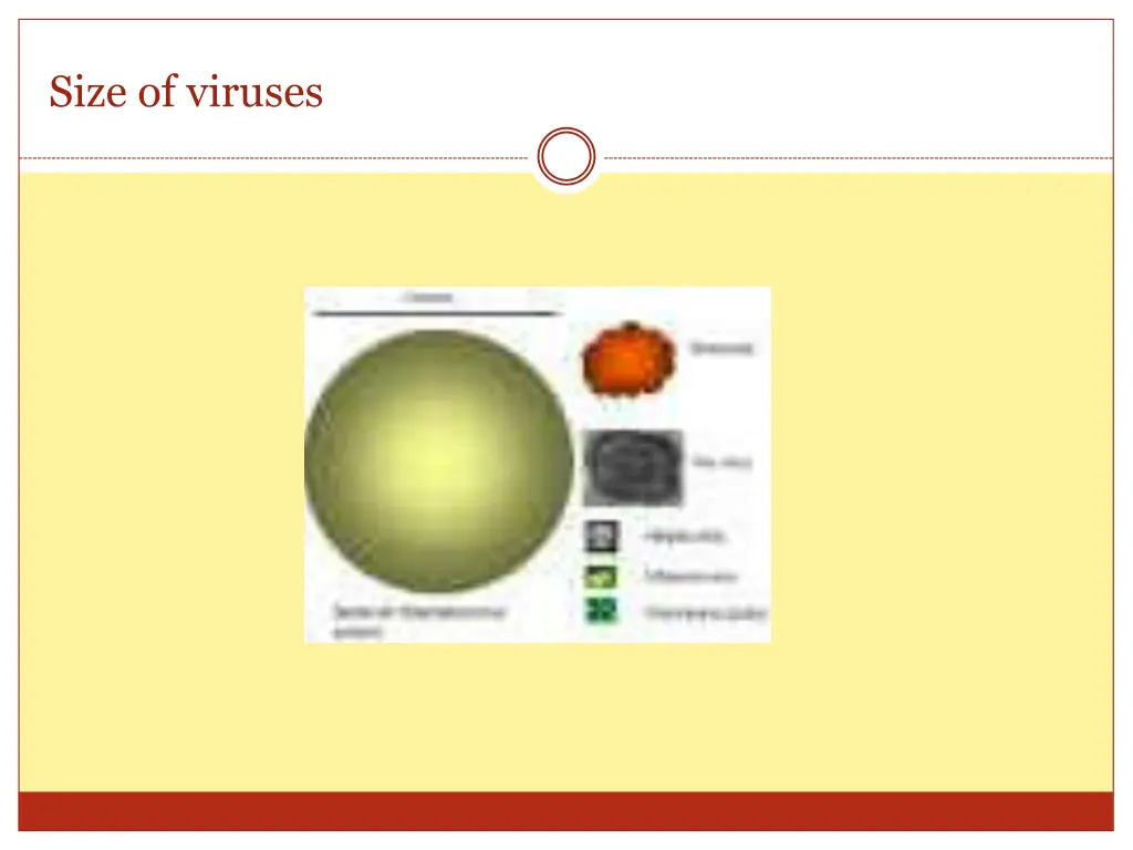 size of viruses