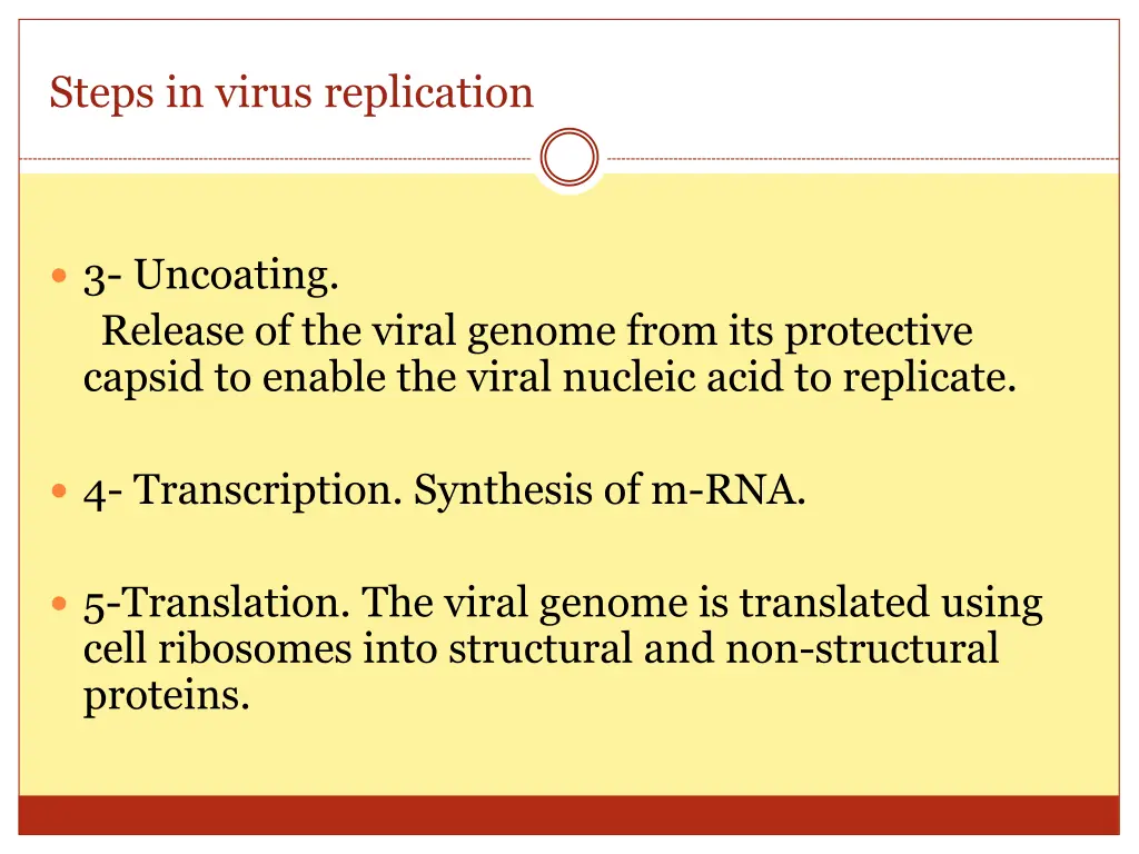 steps in virus replication 3