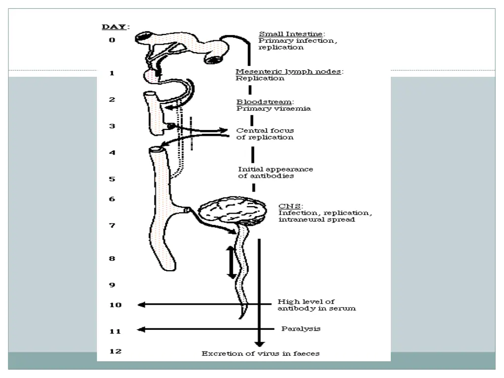 slide14